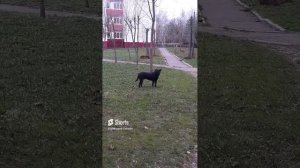 1000023829.mp410.03.2024г.