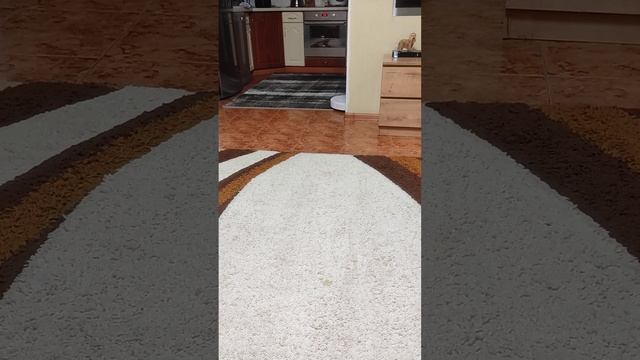 Робот пылесос Dreame F9.Ковры и все такое. смотреть онлайн