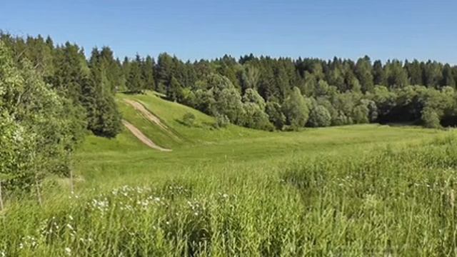 Пение птиц лечит нервную систему, снимет стресс и поднимет настроение/Sounds of nature/Relax/ смотреть онлайн