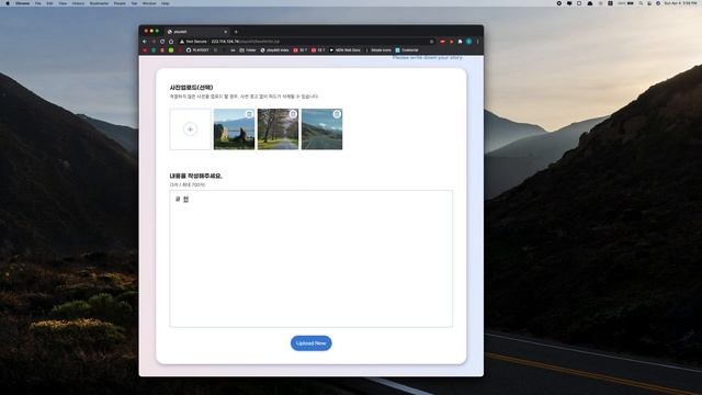 playddit mid-term project demonstrate смотреть онлайн