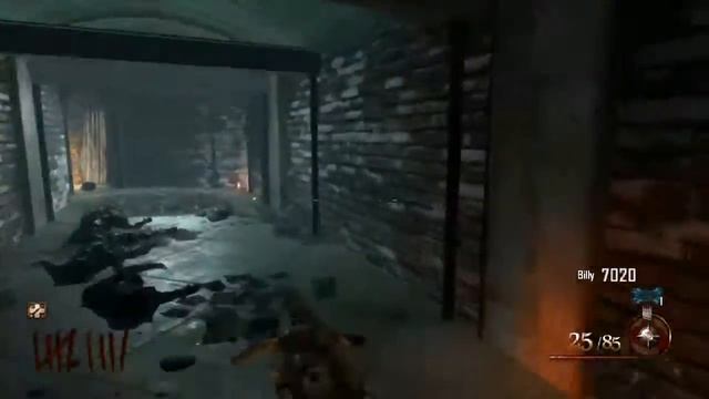 Mob of The Dead Riot Shield Invincibility Glitch смотреть онлайн
