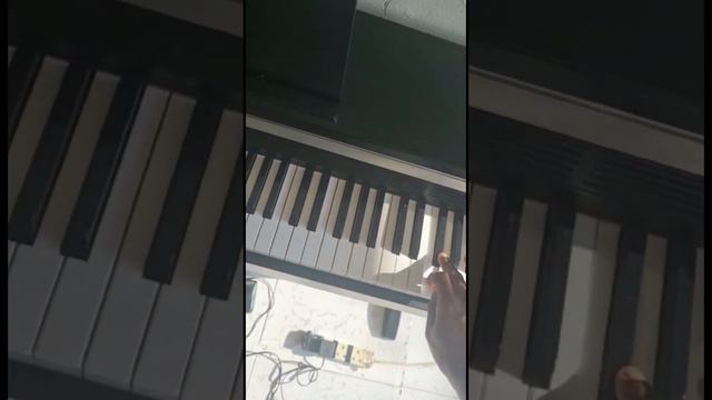 Casio Celviano Ap-220 Digital Piano Testing | Mux Sound