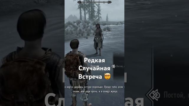 Очень Редкая Ситуация 🤯 Skyrim #skyrim #tesugames #чтобудетесли смотреть онлайн