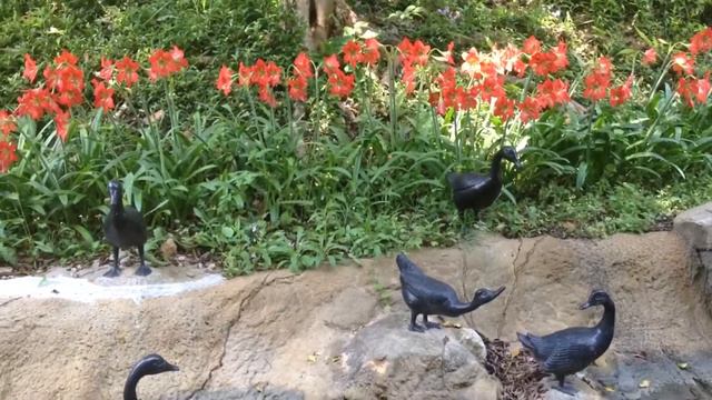 又是朱頂蘭開花時2014年4月 смотреть онлайн