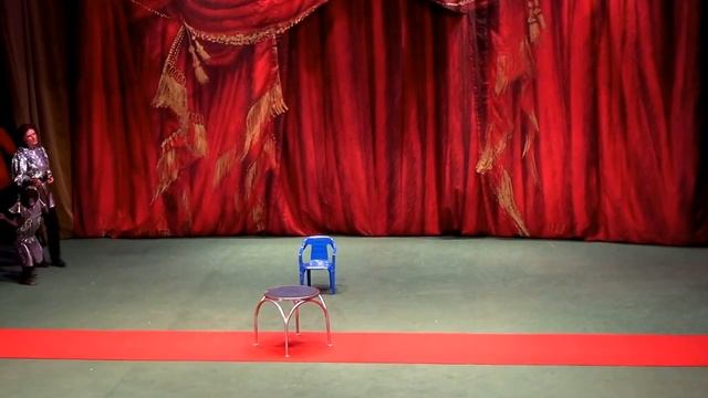 WOW! - Куча разных животных в детском театре Уголок зверей Дурова. Пони, тигр, слон и другие смотреть онлайн