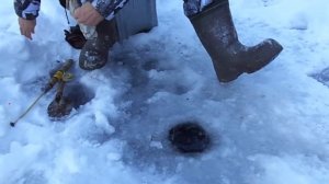 Рыбалка в Саранпауль