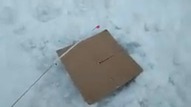 ПОПЛАТИЛСЯ КРУПНОЙ ЩУКОЙ ЗА ОШИБКУ... Надо ли подсекать?! ЖЕРЛИЦА: тактика после поклевки хищника. смотреть онлайн