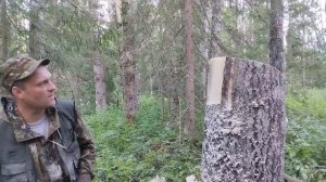 КАК СДЕЛАТЬ САМЫЙ ПРОСТОЙ СОЛОНЕЦ С КРЫШЕЙ ДЛЯ ЛОСЕЙ!