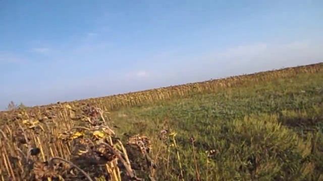 FloridaYalta что произошло с Дугласом на самом деле