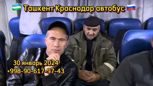 Ташкент Краснодар автобус смотреть онлайн