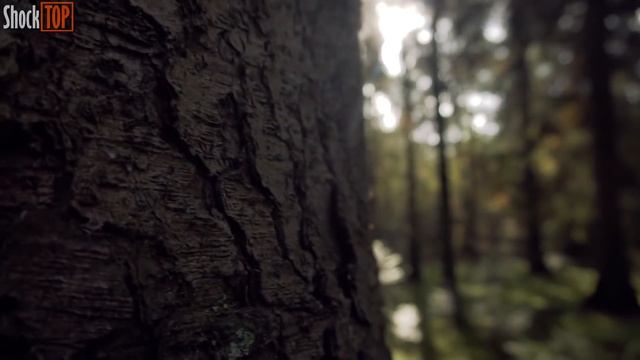 7 АНОМАЛЬНЫХ и МИСТИЧЕСКИХ МЕСТ НА ЗЕМЛЕ, ГДЕ НЕ РАБОТАЕТ ГРАВИТАЦИЯ! смотреть онлайн