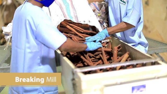 Natural Java Spice - video presentation 2022 смотреть онлайн