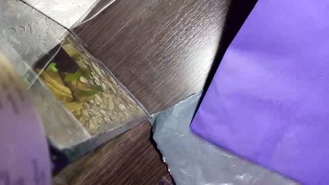 Мешок для фена смотреть онлайн
