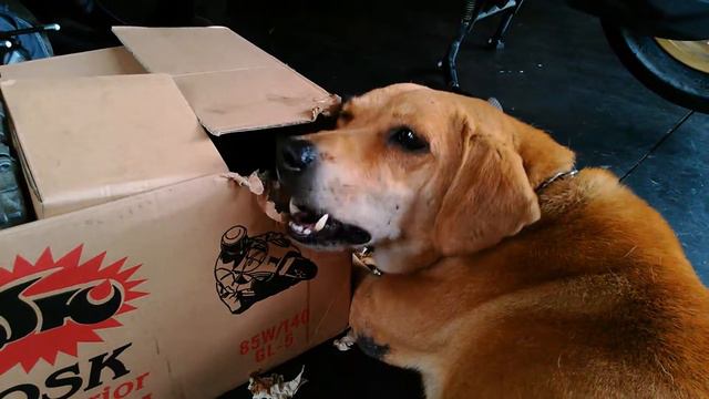 Osk好口味, 85w140不黏牙 смотреть онлайн