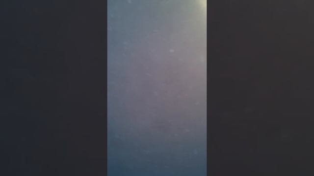 Аренда лодки смотреть онлайн
