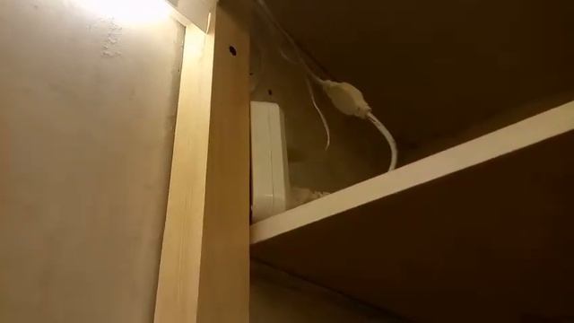 ремонт в туалете с идеальной подсветкой. смотреть онлайн