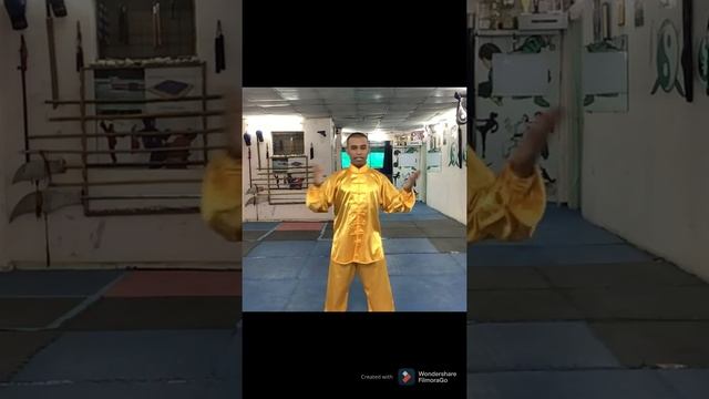 What is the difference between Tai Chi & Qi Gong in Hindi | Qi Gong OR Tai Chi | Qi gong vs Tai Chi смотреть онлайн