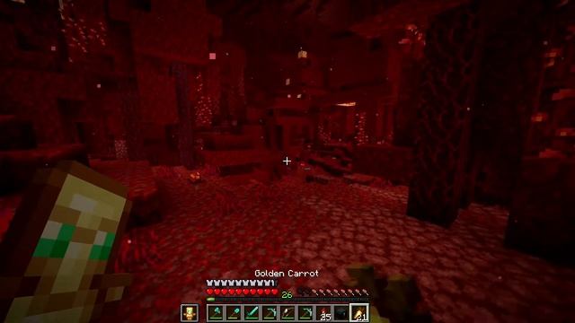 1.16! Exploring the new Nether Update! - Surviving Java SMP Ep15 смотреть онлайн