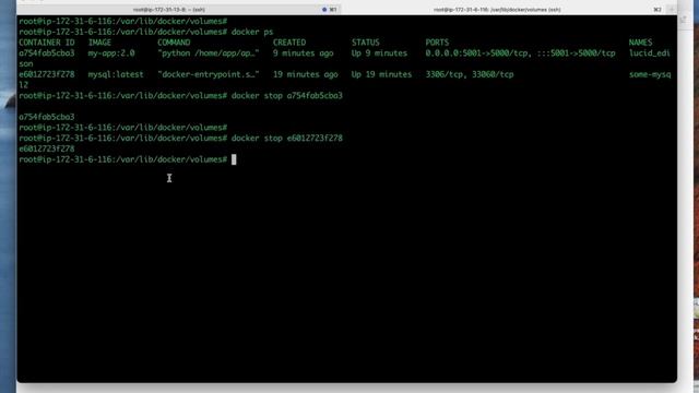 Docker Complete Tutorial - Part 4 || Docker Volume In Detail смотреть онлайн