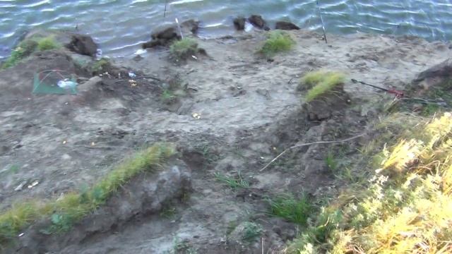 Халявная рыбалка на Иртыше. Лежанка. смотреть онлайн