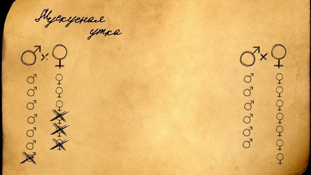 Как вылечить каннибализм у мускусных уток? смотреть онлайн