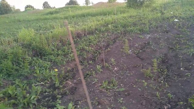 ДОБРАЯ БАНЯ, покупки. #баня, #банясвоимируками, #строительствобани, #добраябаня, #покупки. смотреть онлайн