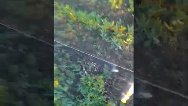Лучшие изоляторы на электро пастух с пластиковых бутылок! смотреть онлайн