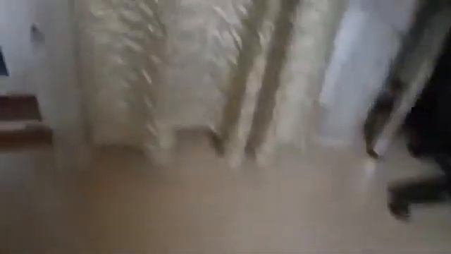 Говорящий робот-пылесос Володя и кот. Качество уборки/WorldOfTanks смотреть онлайн