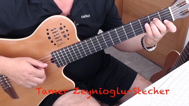 ARTE ITALIANA " Andante by M. Carcassi " TAB+ NOTA смотреть онлайн