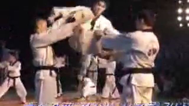 Korea Hapkido Jin Jung kwan demo смотреть онлайн