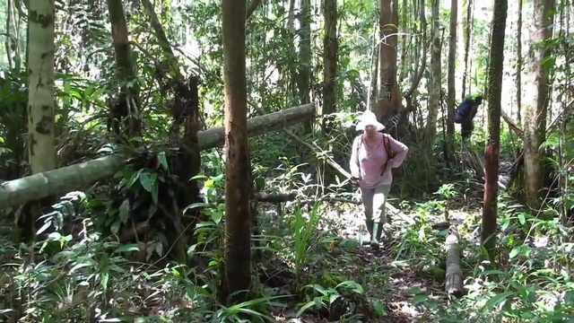 Путешествие в каменный век. Папуа Новая Гвинея. смотреть онлайн