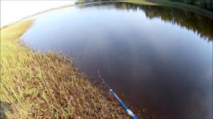 Жор щуки Рыбалка в ХМАО.