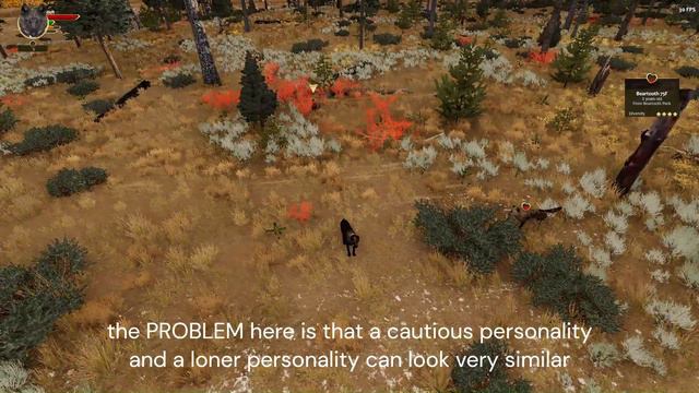 how to find an independent mate in wolf quest anniversary edition смотреть онлайн