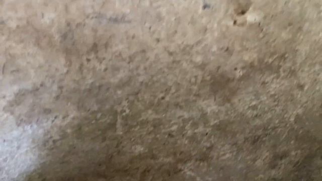 Ремонт курятнике//Дезинфекция как подготовить к побелке смотреть онлайн
