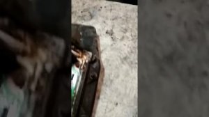 Ремонт мозгов Опель астра н 2010