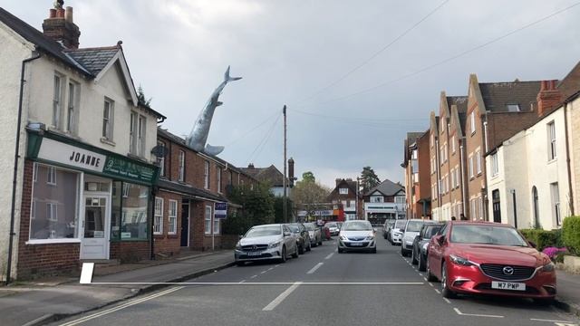 Shark Hooked on Roof смотреть онлайн