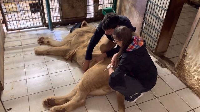 20 mars 2023 смотреть онлайн