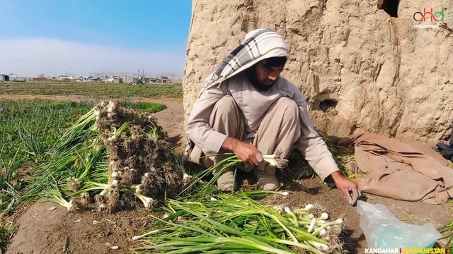 Rural Life Of Afghanistan ?? | Kandahar Province | 4K