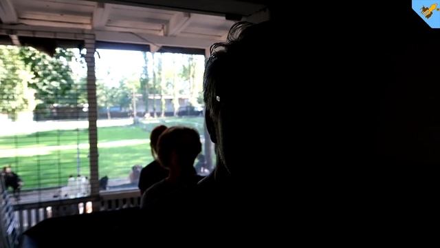 VLOG 016 - Überraschung in der HuTa - Hundetraining Hundeschule Stadtfelle смотреть онлайн