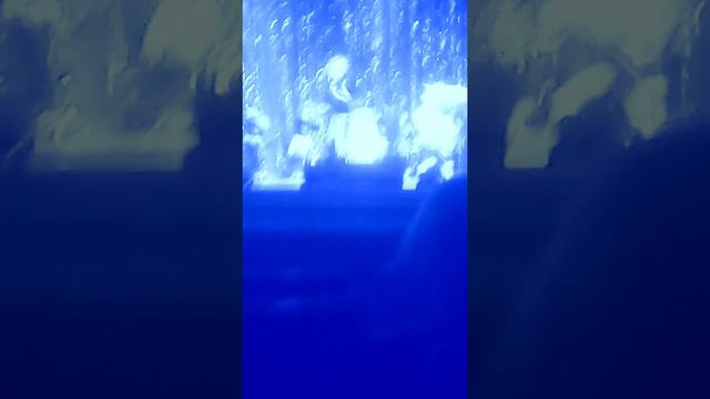 филармония Биробиджан 2016 06.03.2016 смотреть онлайн