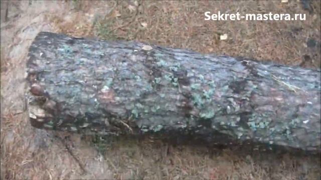 Лайфхак Как Вытащить Бревно из Леса смотреть онлайн