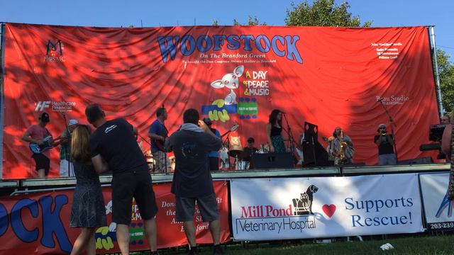 Jackie Meeker & The Levitating Hubinger Extravaganza - 8/13/16 - Woofstock - 2 of 2 смотреть онлайн