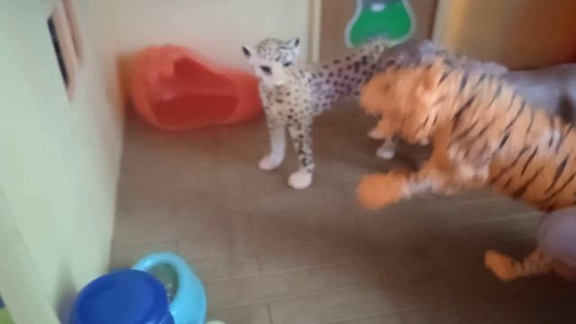 шира шеба и тигон пошли в школу (1 серия) смотреть онлайн