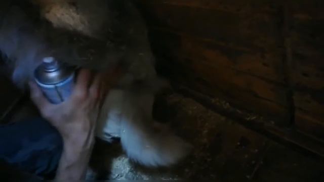 В ЭФИРЕ "БАРБОСКИН НЬЮЗ"🐾💌
НОВОСТИ ПРИЮТА ОТ 27 ИЮНЯ! смотреть онлайн