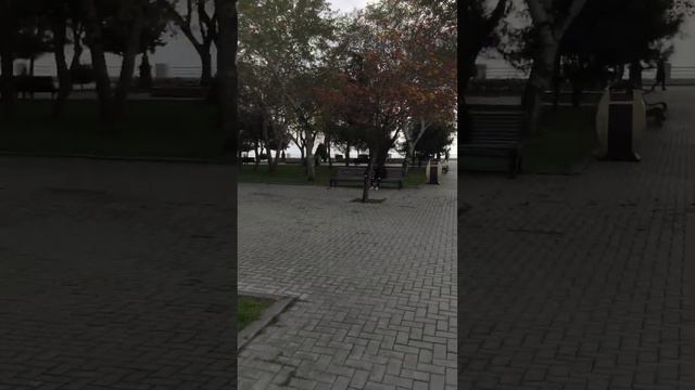 Русские в Азербайджане 😅 смотреть онлайн