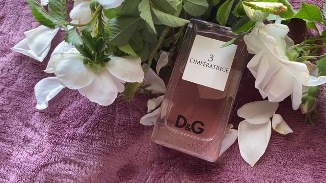 Dolce Gabbana  L’imperatrice 3