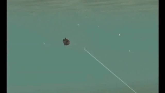 Reel Fishing Anglers Dream Nintendo Wii Trailer смотреть онлайн