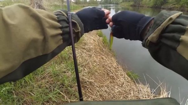 Вернулся на старое место с новым бойцом. KOSADAKA META 80F приятно удивила