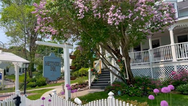 THE LARGEST LILACS IN THE WORLD!!! | Mackinac Island Lilac Festival 2023 | Lilac Garden Tour