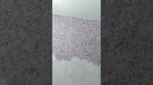 Желтезна на жидких обоях